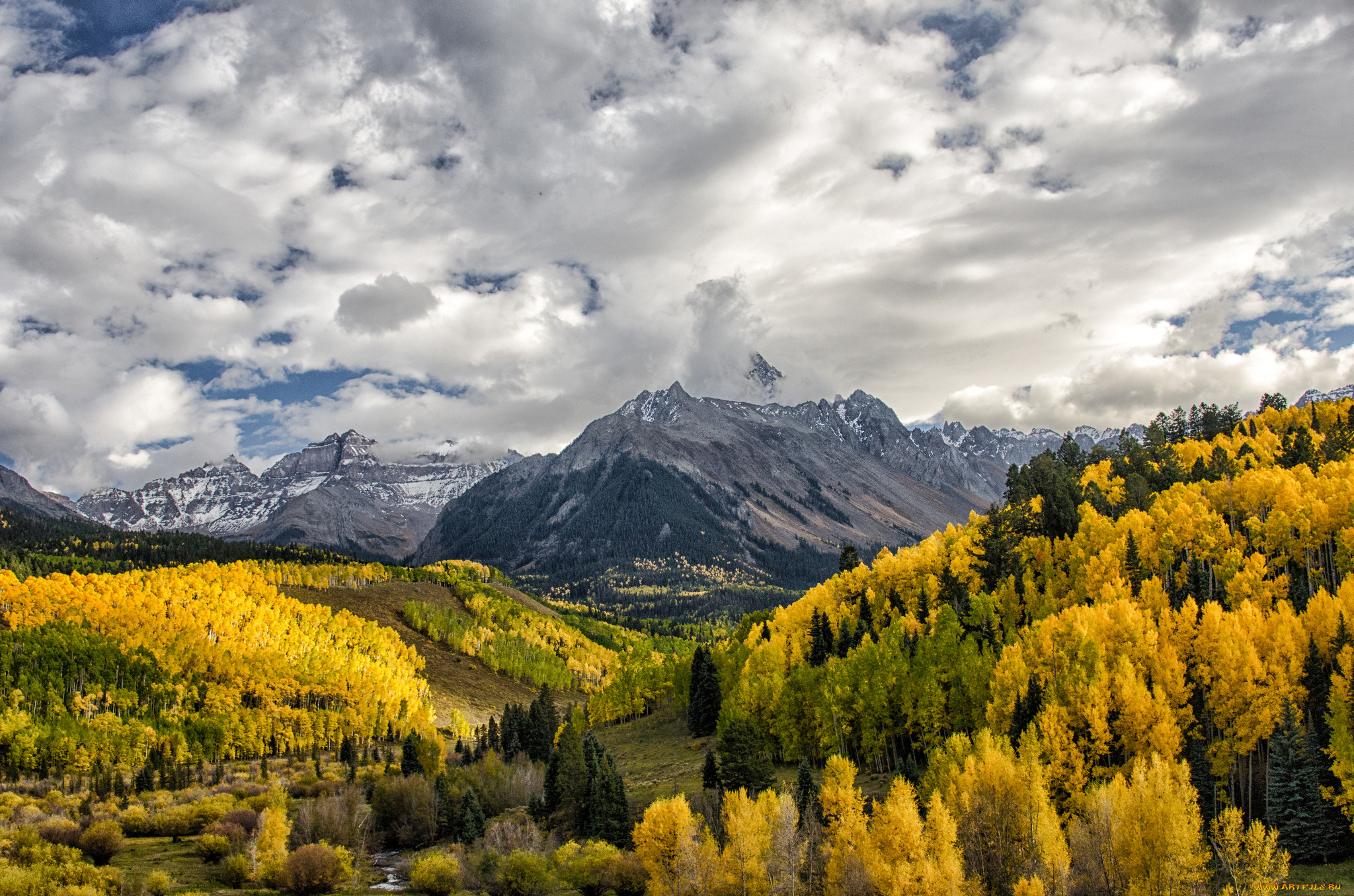 Фото лес и горы. Штат Колорадо горы. Штат Колорадо леса. Колорадо природа горы\. Штат Колорадо горы осень.